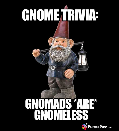 Gnome Puns Intended, It's Gnome Mystery Jokes 8