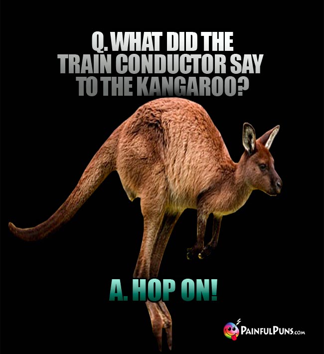 Kangaroo Jokes, Roo Puns, Joey Grins 3