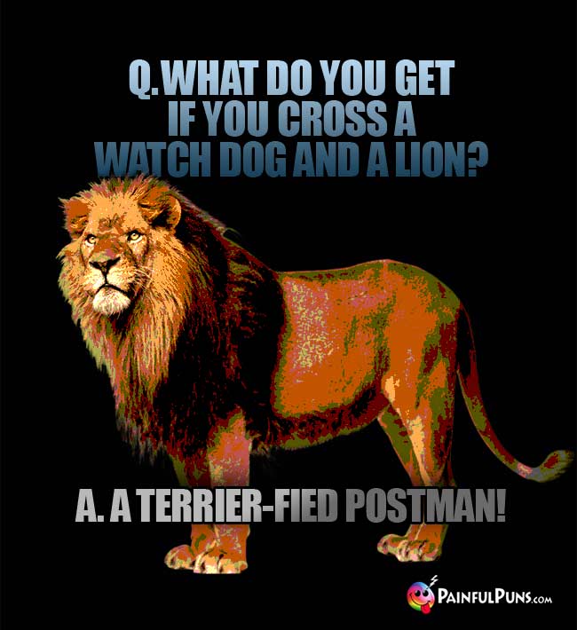 Lion Jokes, Roar Puns, King of the Jungle LOLs 3