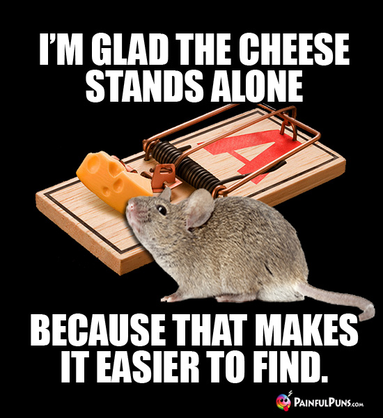 Cheesy Jokes, Gouda Puns, Sharp Cheese Humor 3