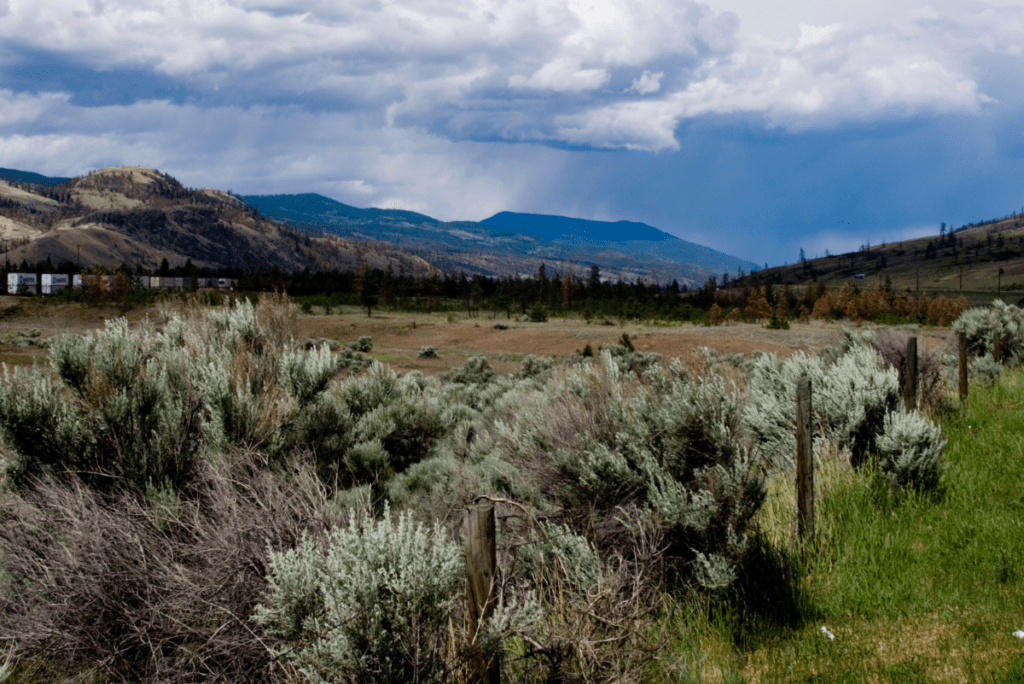 Kamloops, British Columbia PainHero