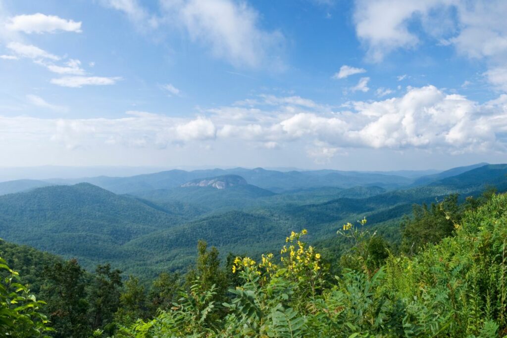 St. Albert, Alberta PainHero