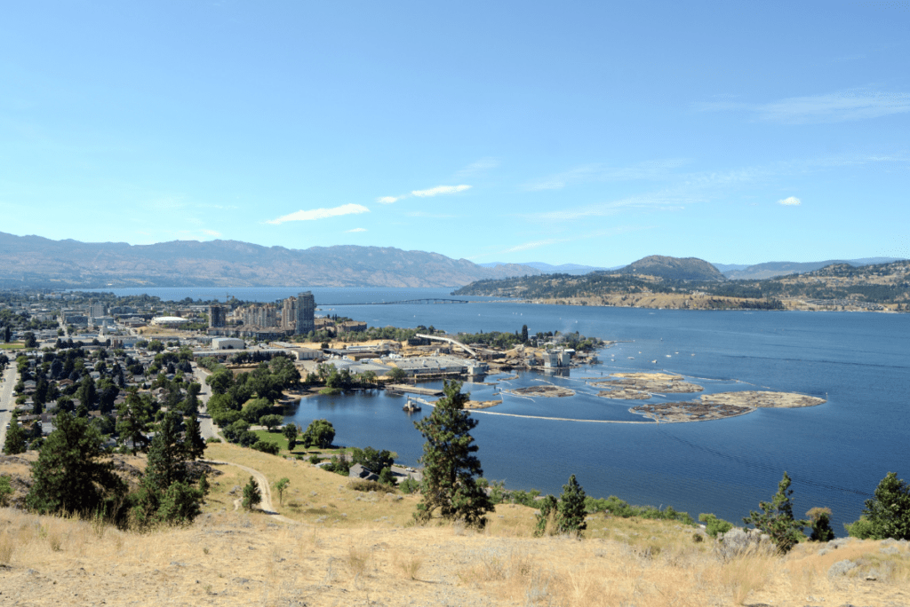 Kelowna, British Columbia PainHero