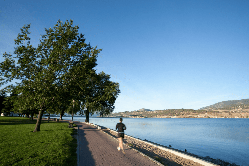 Kelowna, British Columbia PainHero