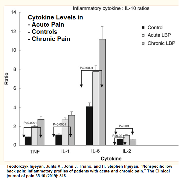 Cytokine Pain Diseases Pain Medical Musing