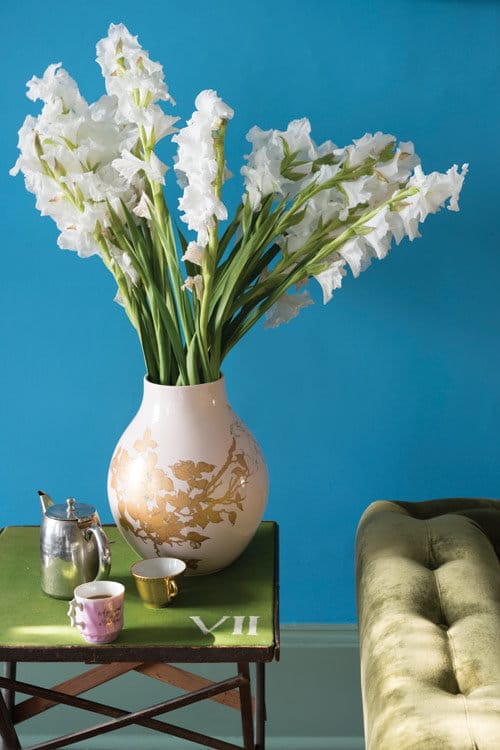 Die neuen Farben von Farrow & Ball Paint & Brush Informationen über