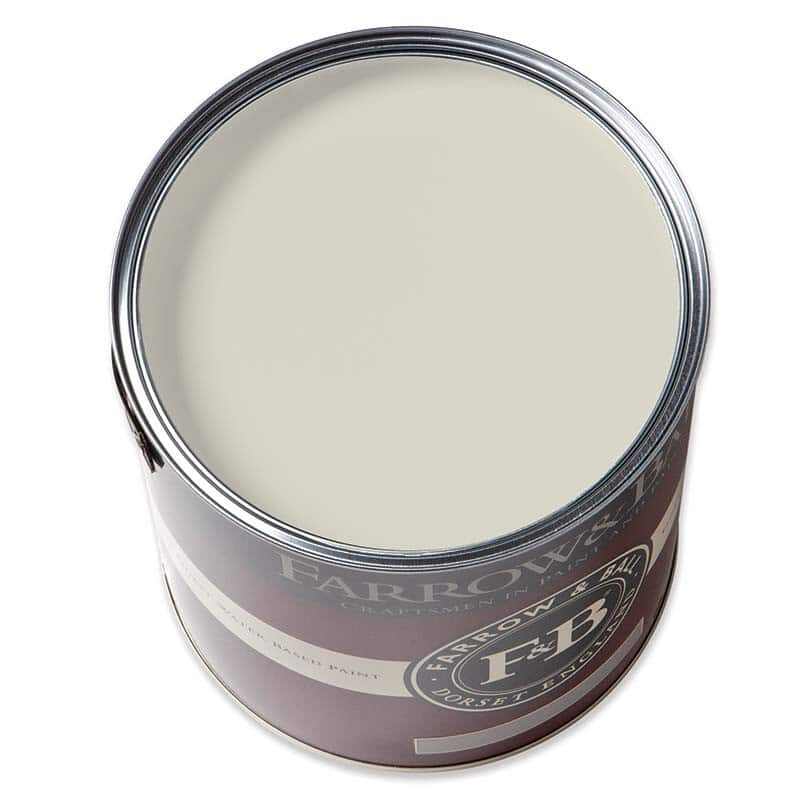 Ammonite 274 Paint and Brush