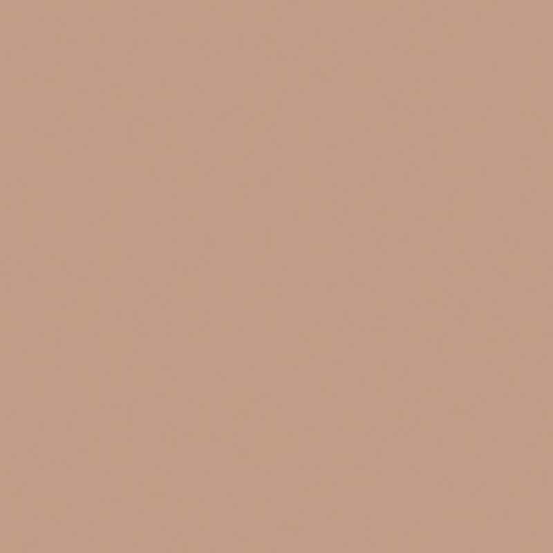 Paint & Paper Library Mink 297 Paint and Brush