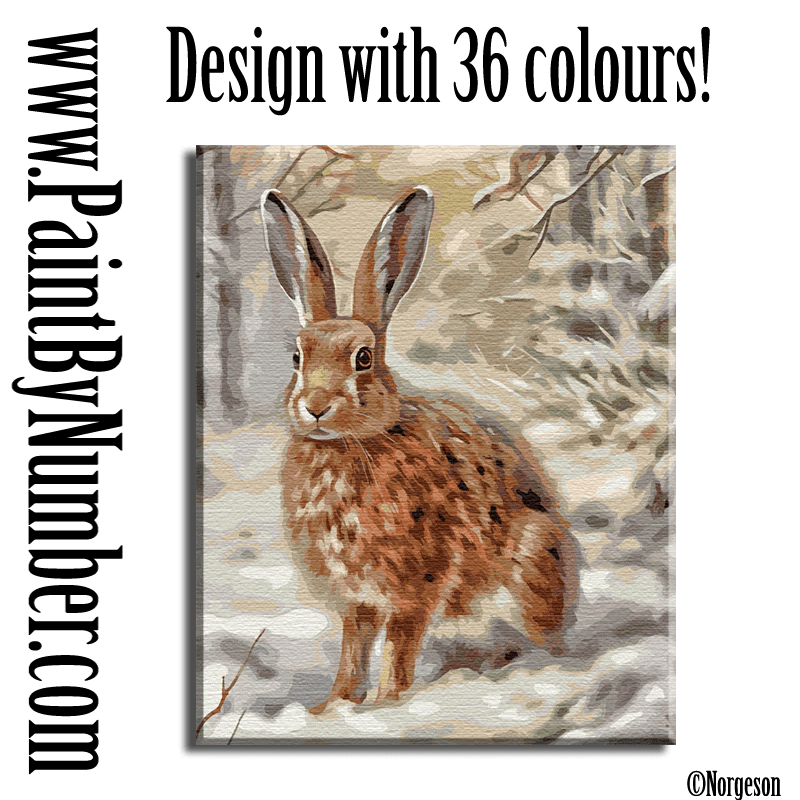 Little hare Traditional paint by numbers