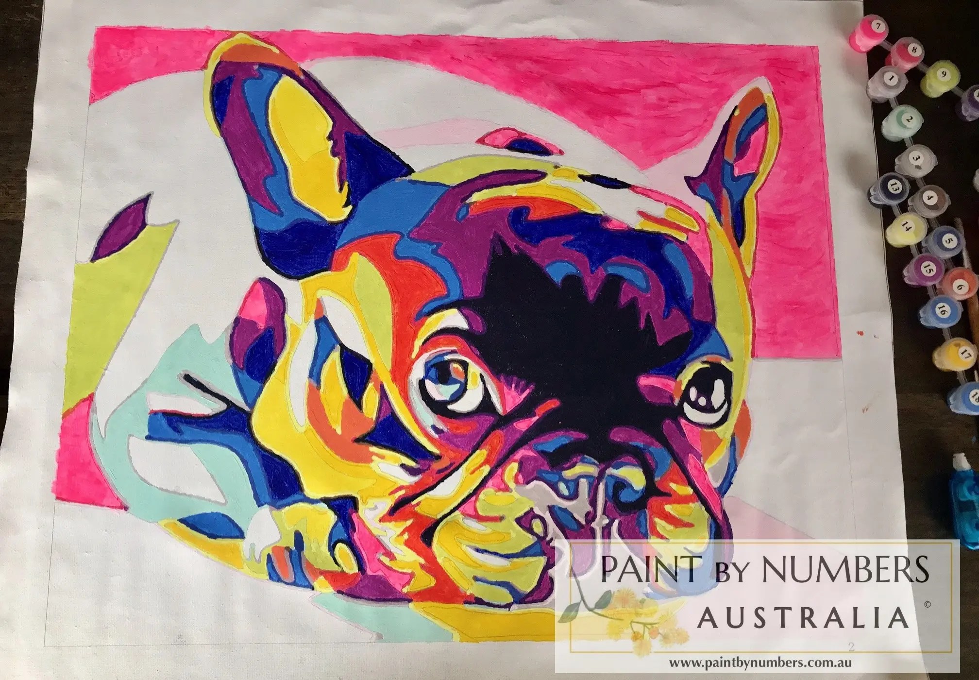 Abstract Frenchie Dog Paint By Numbers Australia