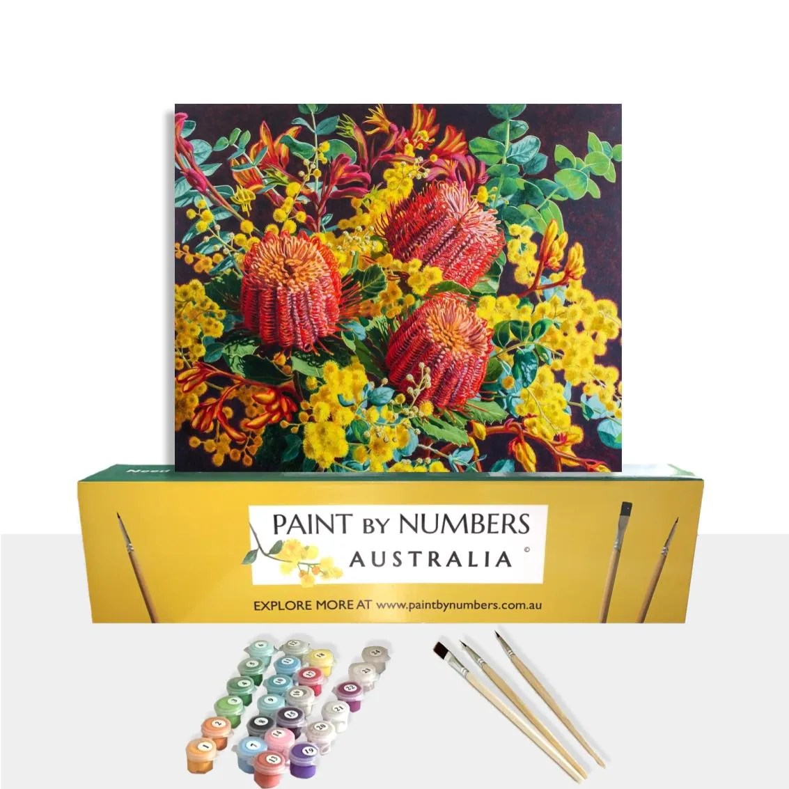 Australian Native Florals Official Paint By Numbers Australia