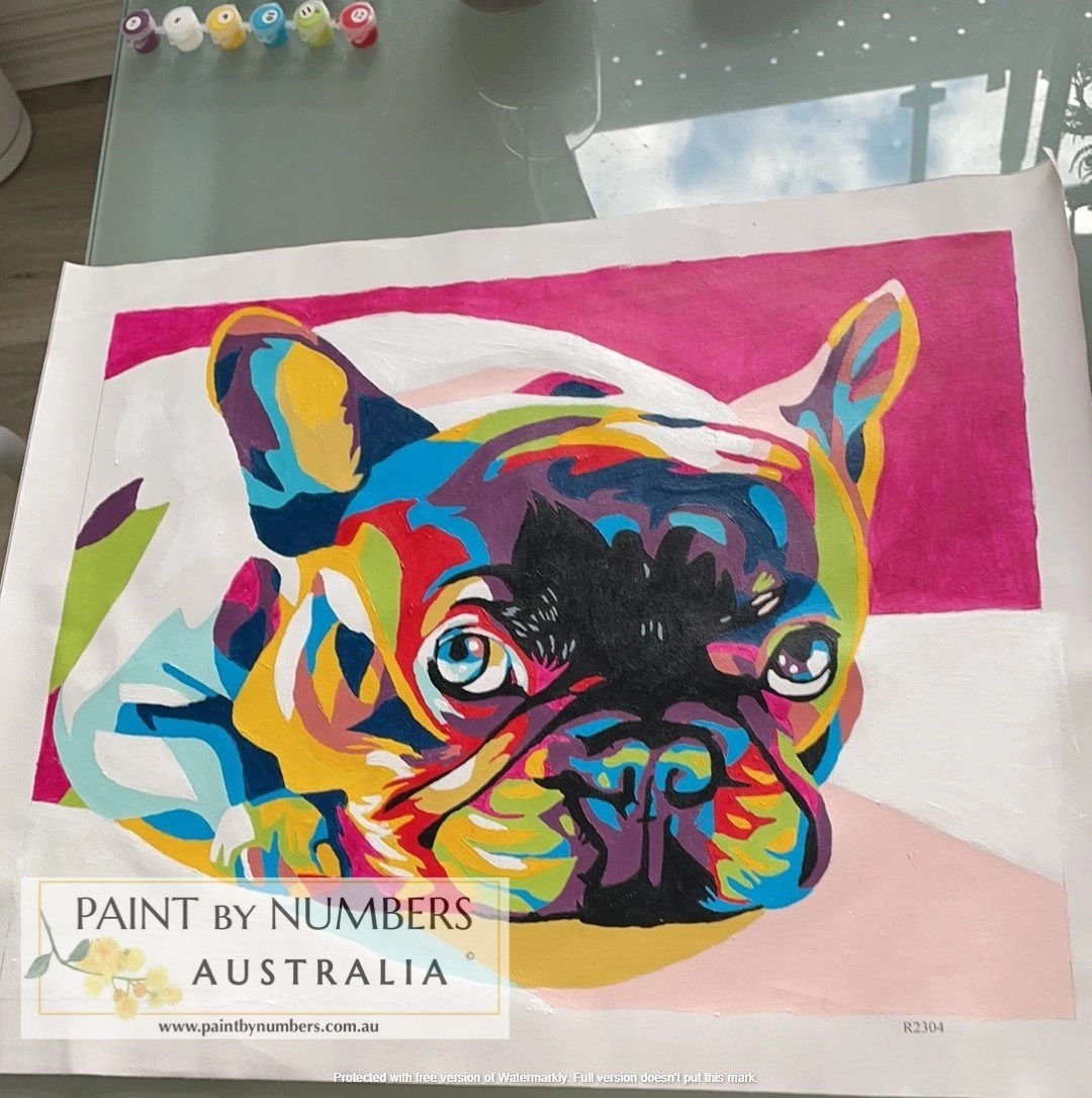 Official Paint By Numbers Australia Fast Delivery