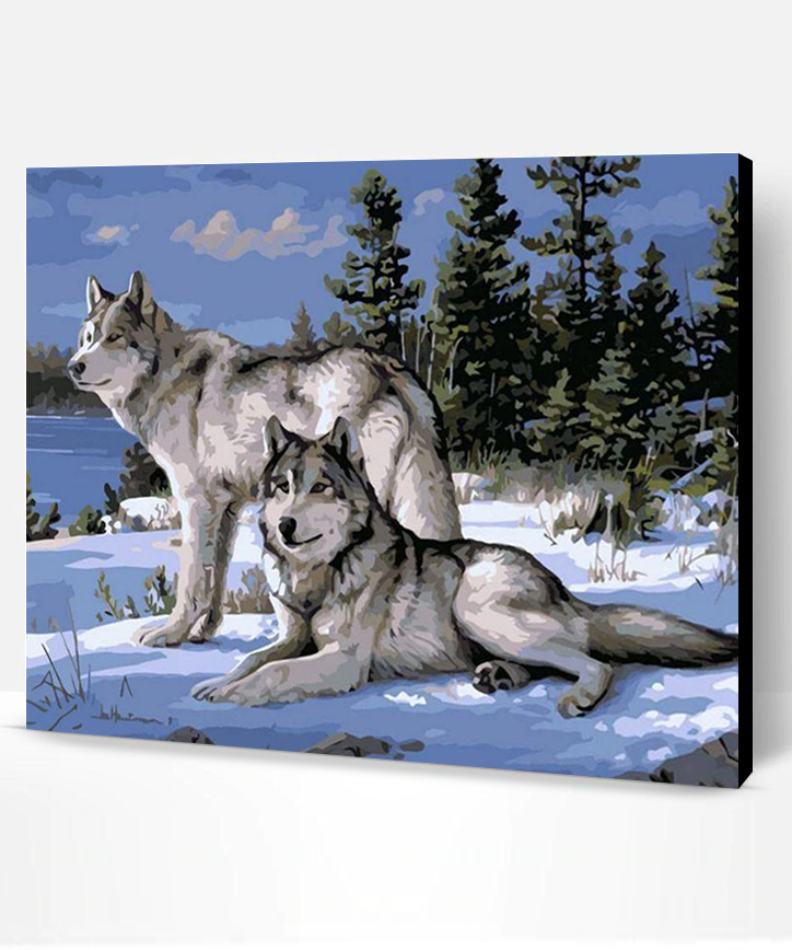 Snow Gray Wolves Animals Paint By Numbers Paint By Numbers PRO