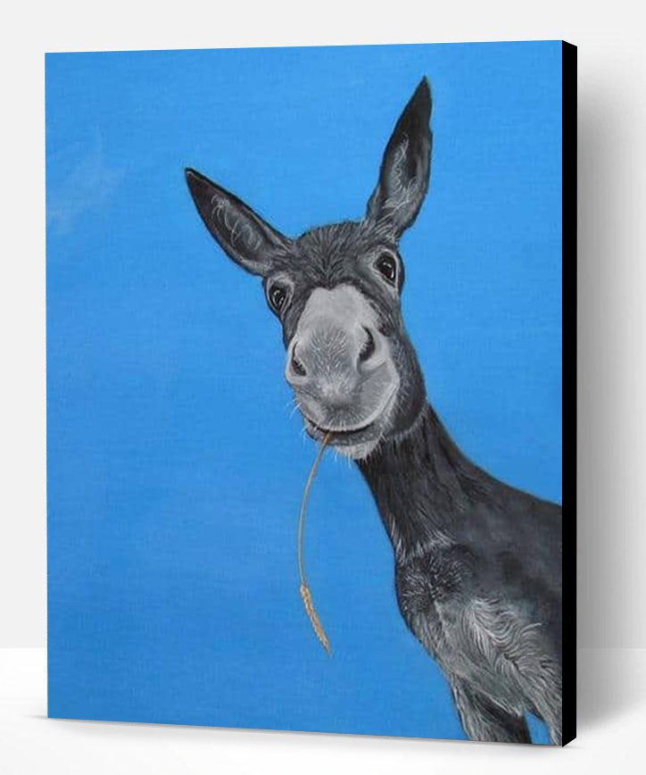 Donkey Portrait Animals Paint By Number Paint By Numbers PRO