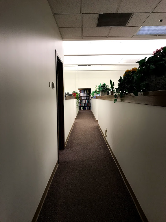 The Paint Doctor residential and commercial finishes in California & more