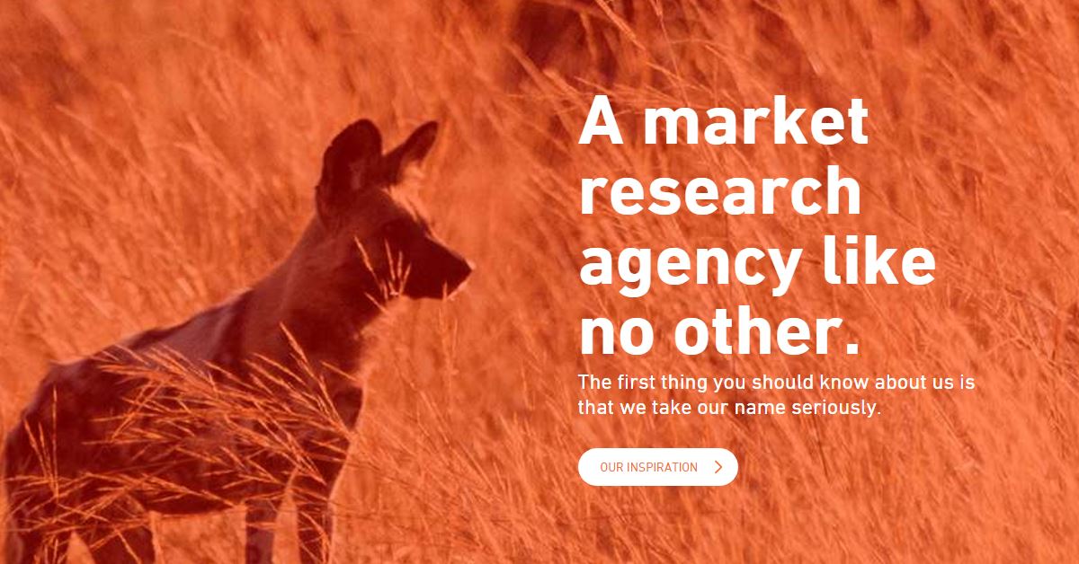 The Dog Blog • Painted Dog Research