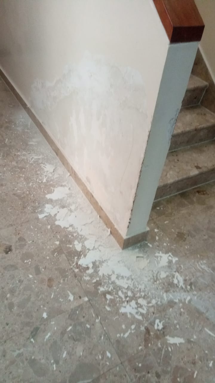 Wall Paint Abu Dhabi By Expert Wall Painting Services In Abu Dhabi