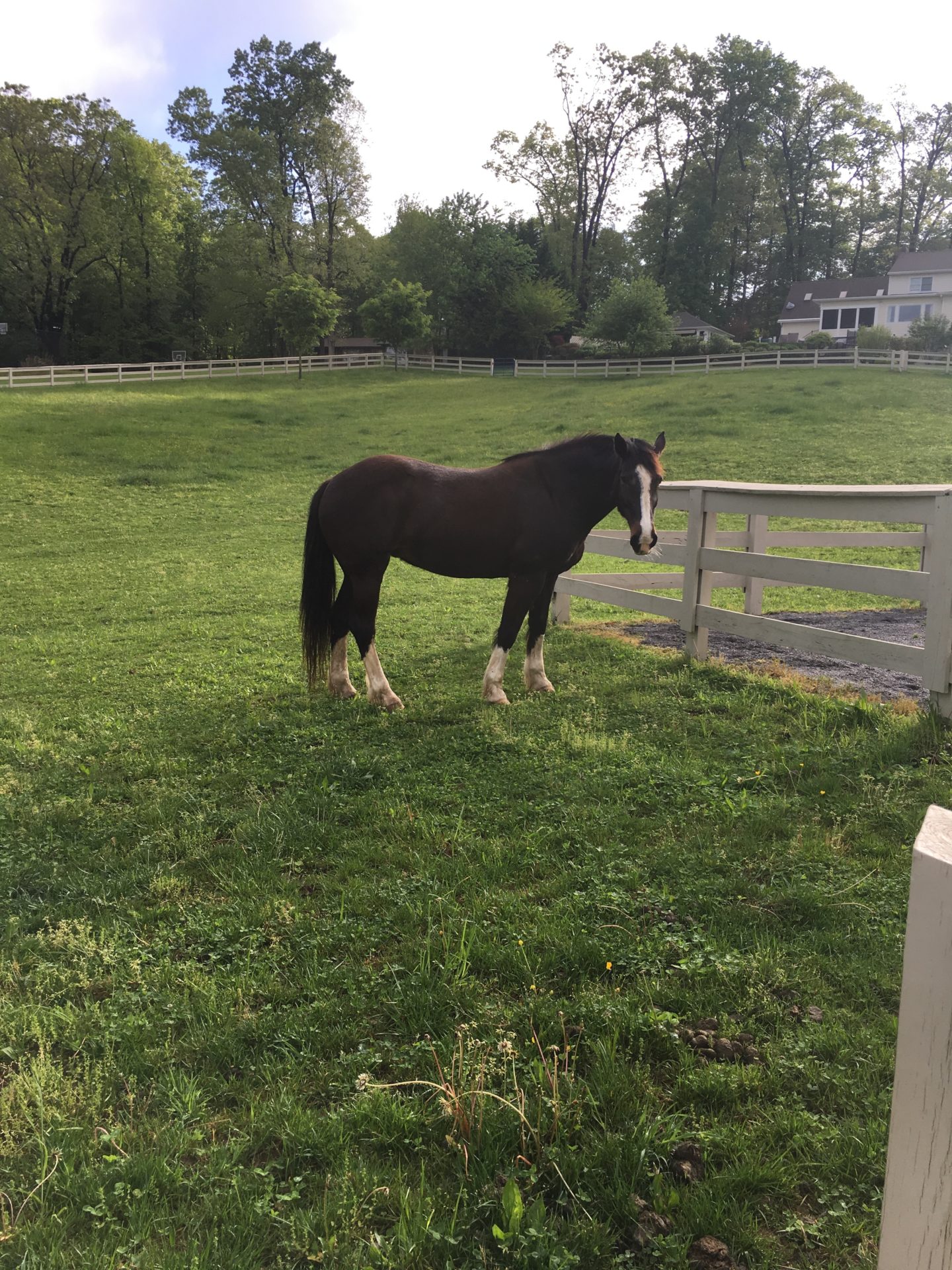 Farm Fence Painting in Howard County MD Archives Painting Contractors