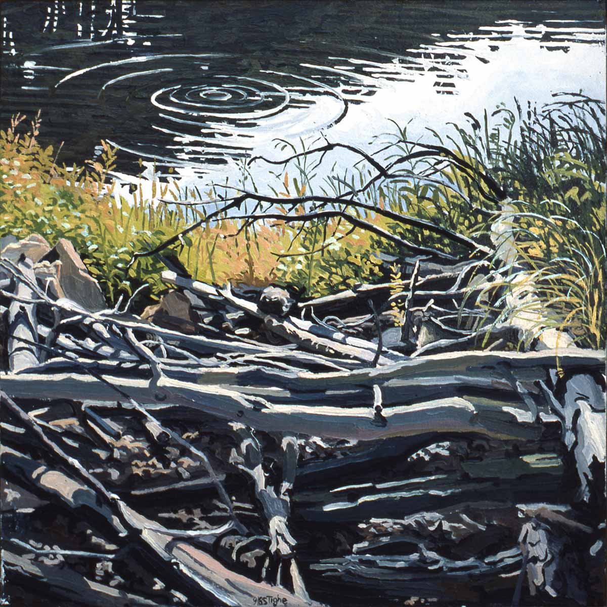 Interview with Ken Tighe Painting Perceptions