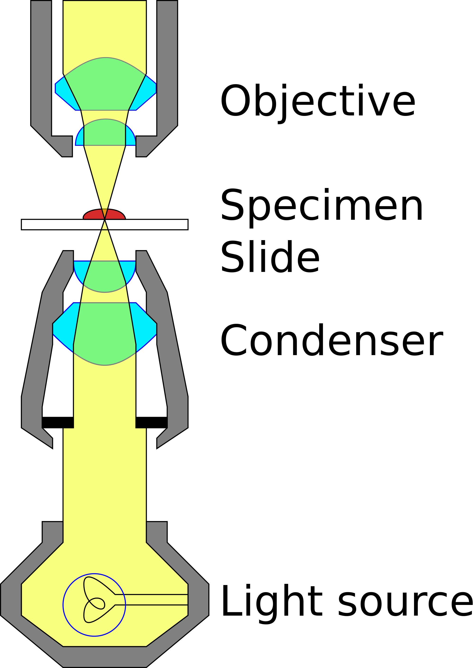 Compound Light Microscope Drawing at PaintingValley.com | Explore