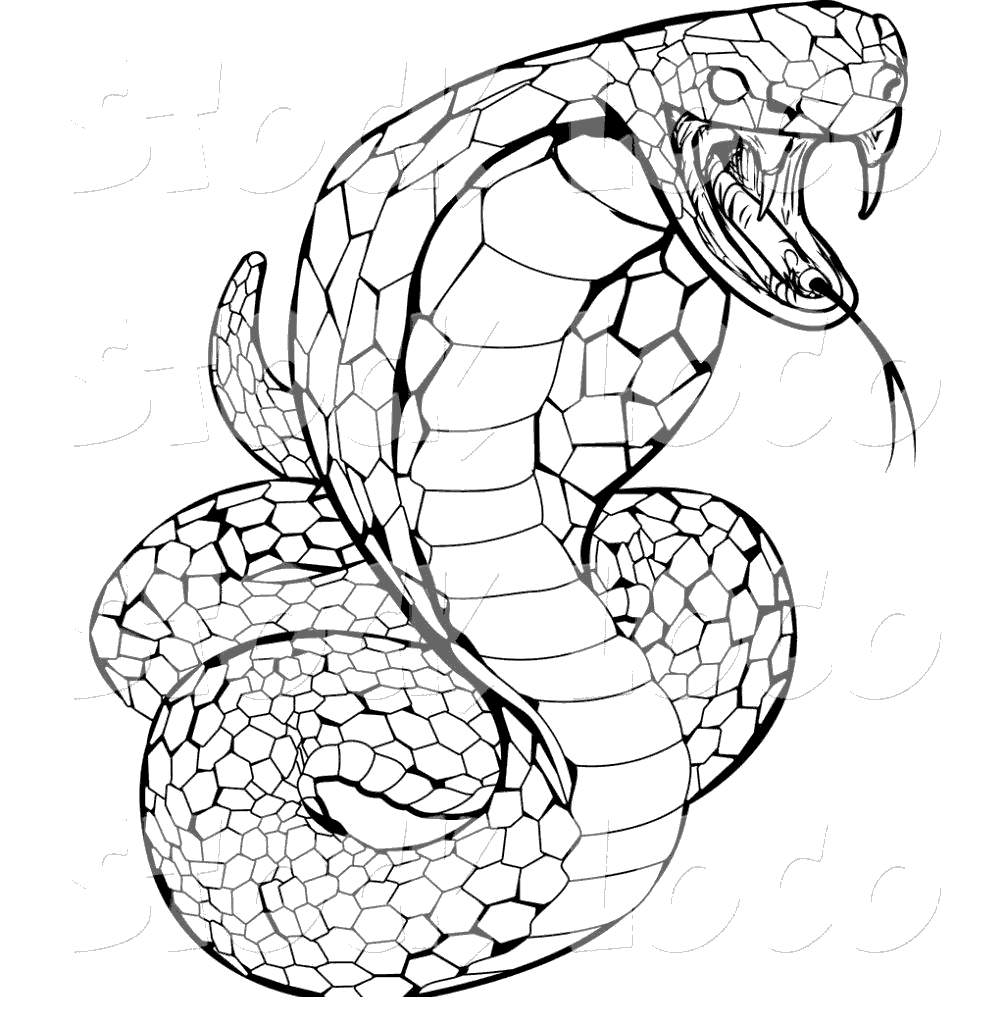 Python Snake Coloring Page Coloring Pages