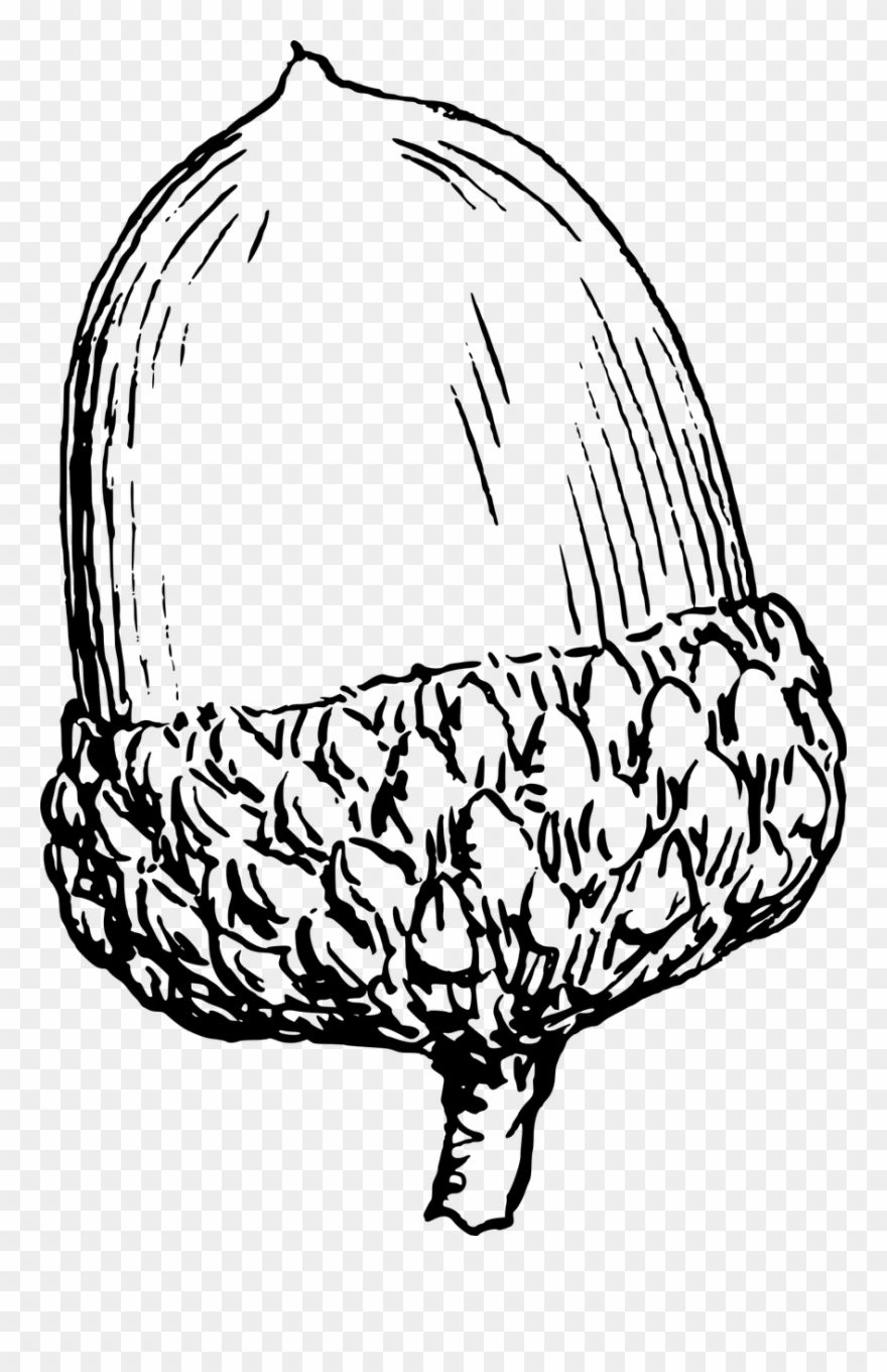 String Lights Drawing at PaintingValley.com | Explore collection of