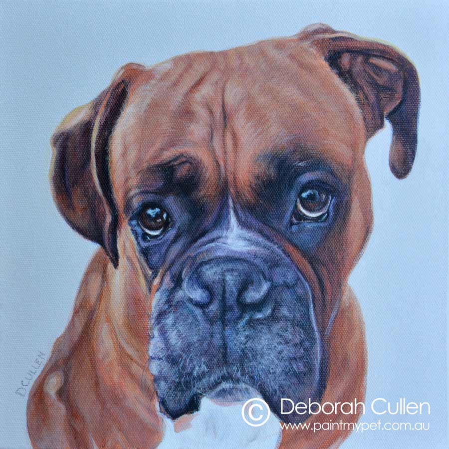 ARCHIE BOXER DOG PORTRAIT PAINTING paintmypet by Deborah Cullen