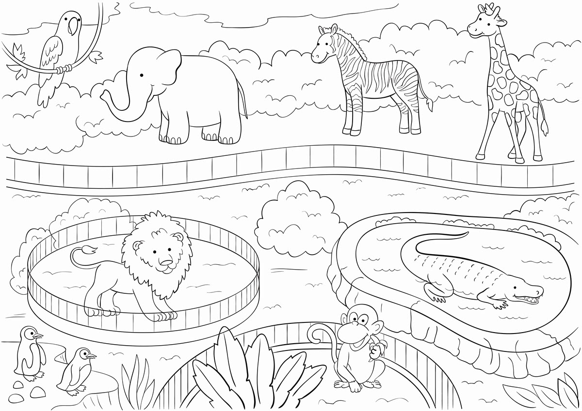 Empty Zoo Cage Coloring Page Sketch Coloring Page