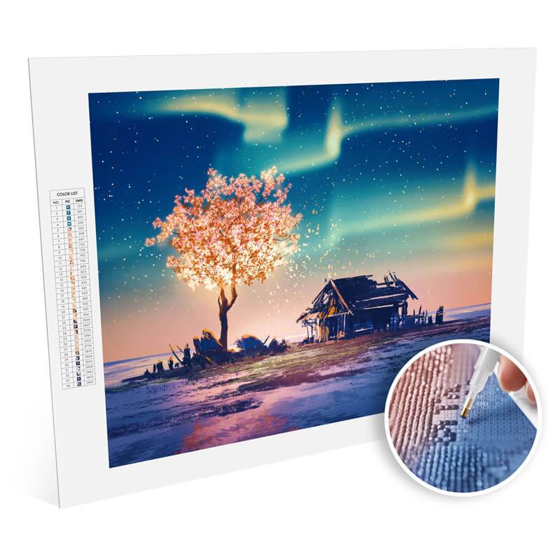 Paint Plot Paint By Numbers Northern Silence kit