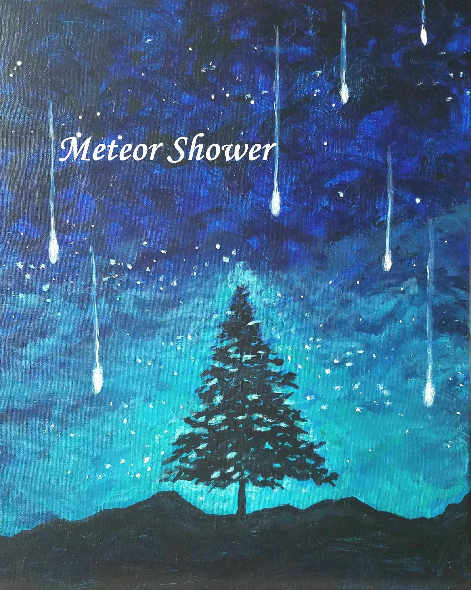 Paint The Town Studios LLC A mobile paint studio. Have your private