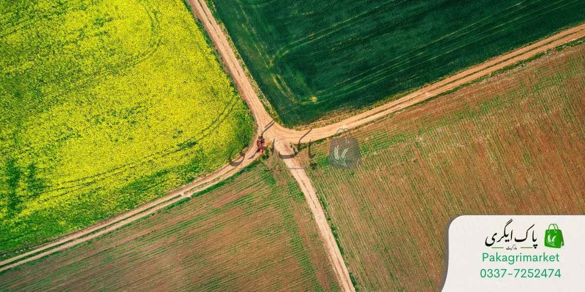 Agriculture land for sale Attock Tehsil Pindi Gheb Mianwala