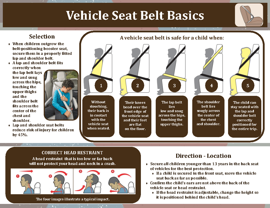 TIPP Vehicle Seat Belt Basics Traffic Injury Prevention Project (TIPP)