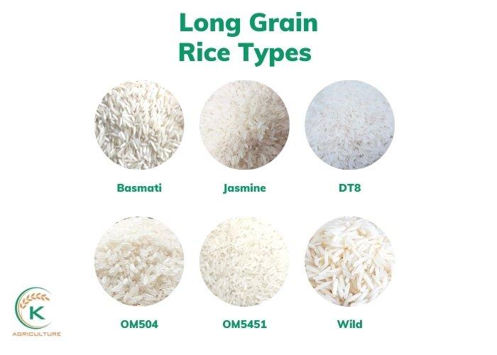 All Long Grain Rice Types You Should Know To Invest HAS Rice Pakistan