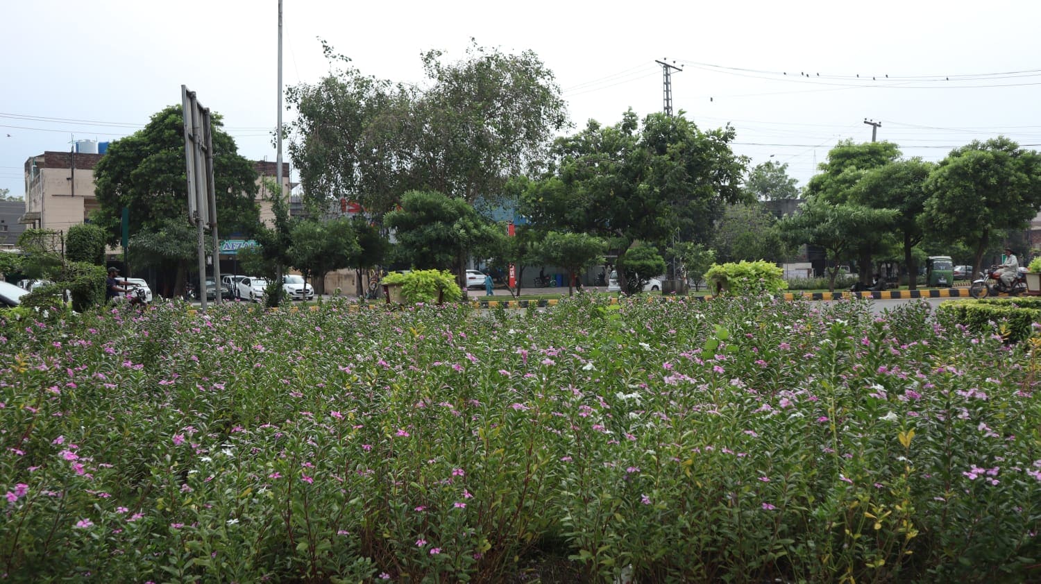 Weather forecast for Islamabad, Pakistan Pakistan Observer