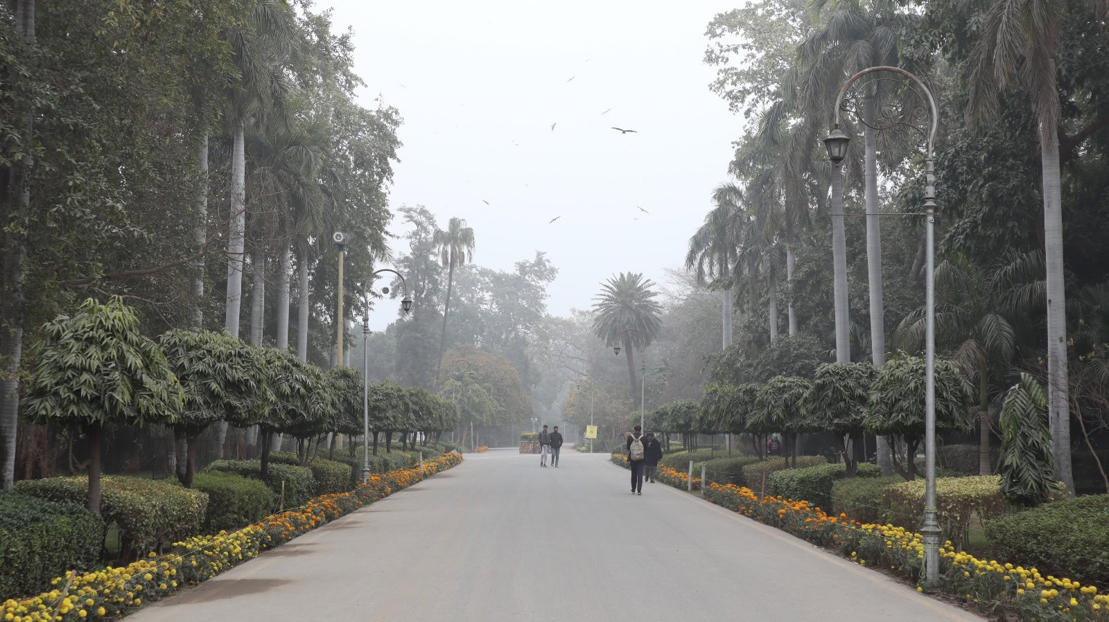 Lahore, Punjab weather update; light rain predicted Pakistan Observer
