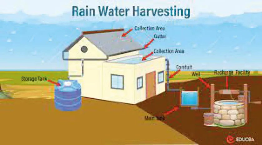 Rainwater harvesting; a vital solution to avert water scarcity