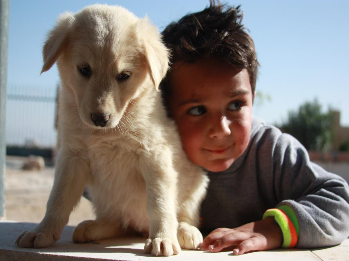 Palestinian Animal League الجمعية الفلسطينية للرفق بالحيوان