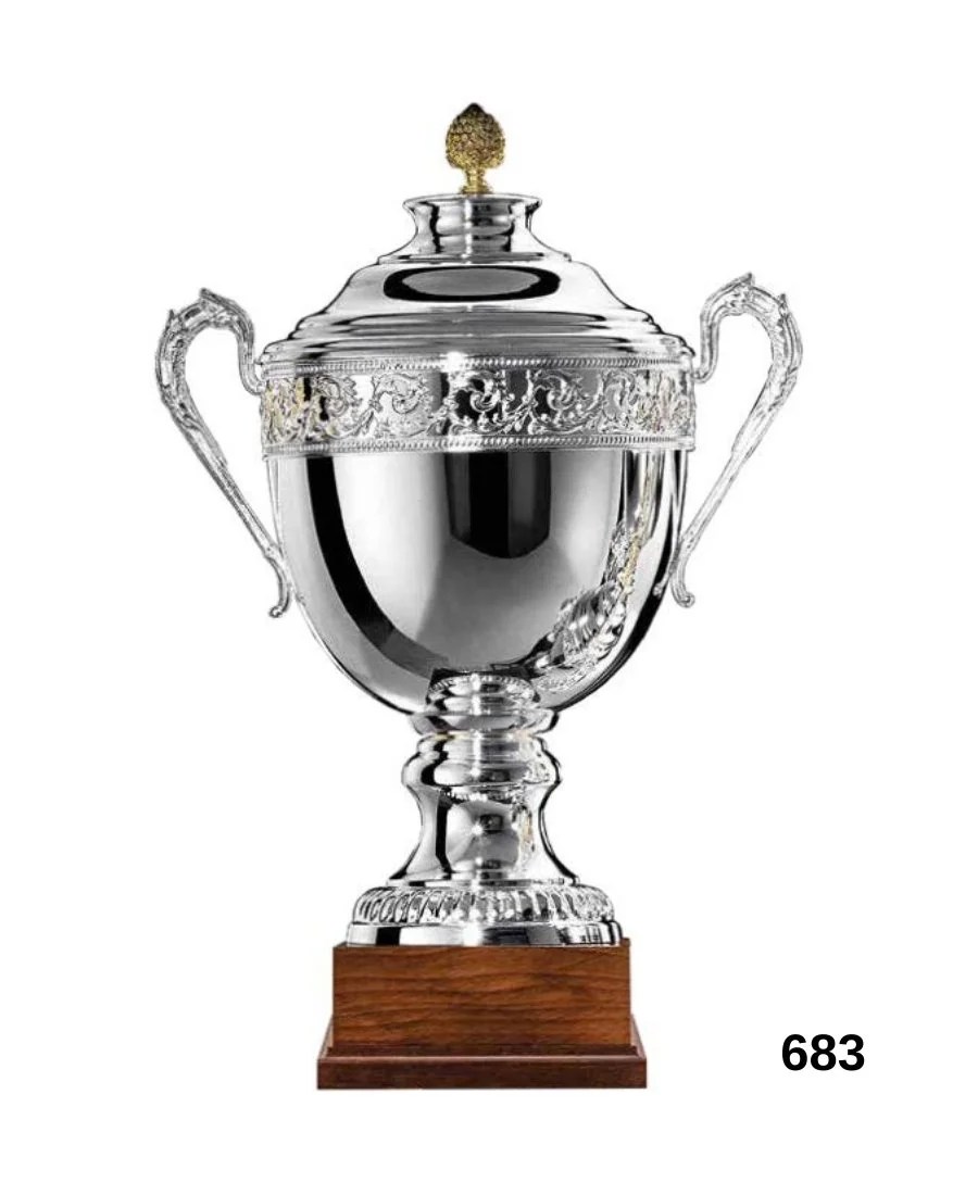 Stainless Steel Sports Cup (683) Palace Enterprises