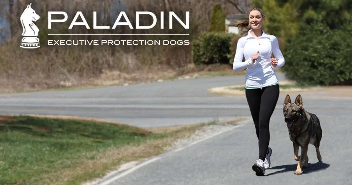 Estate Protection Dogs from Paladin K9 Paladin Executive Protection Dogs