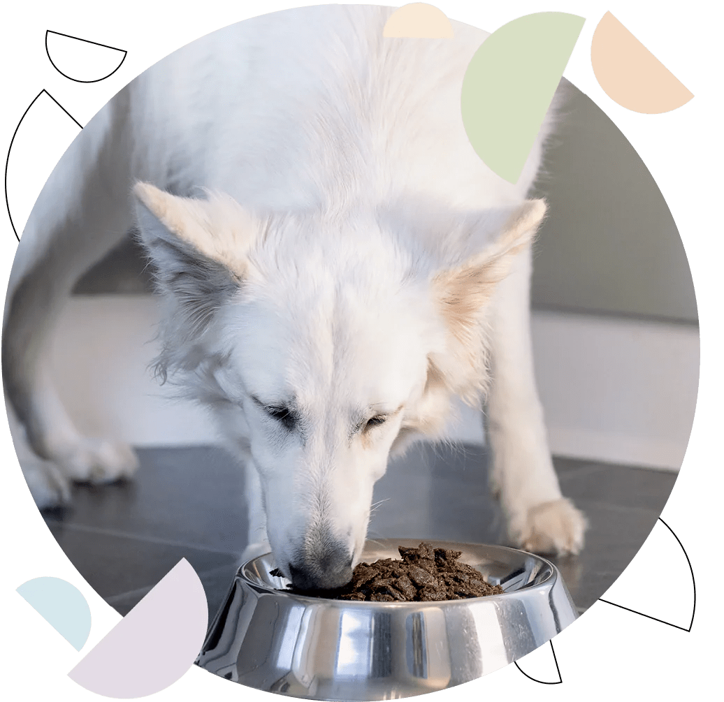 Nordic Raw Food for Pets