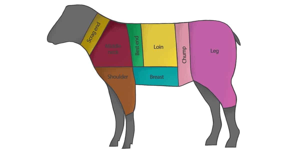 Conjugated Linoleic Acid the Weight Loss Fat? Paleo Leap