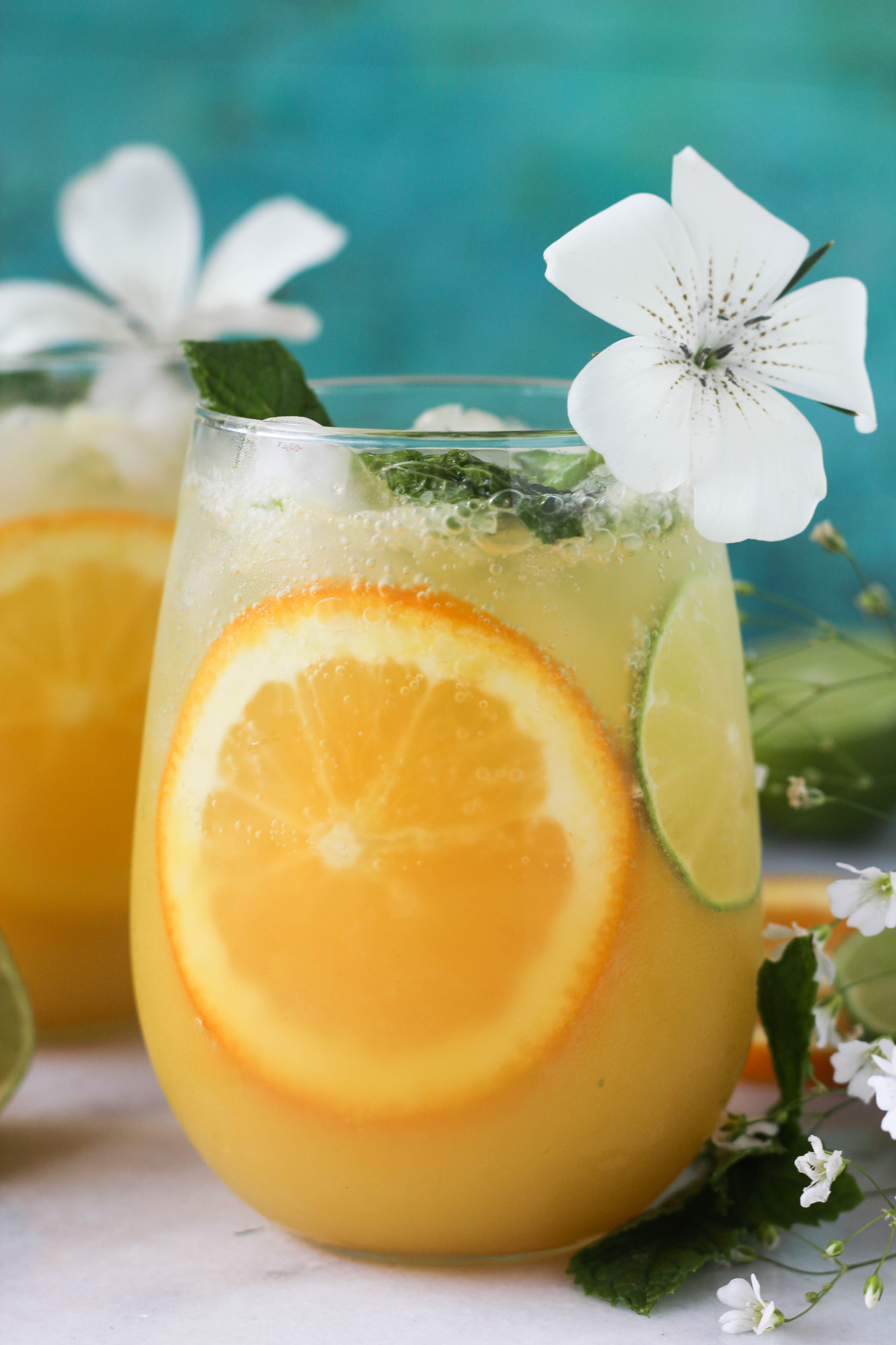 Citrus Mint Vodka Spritzer PaleOMG