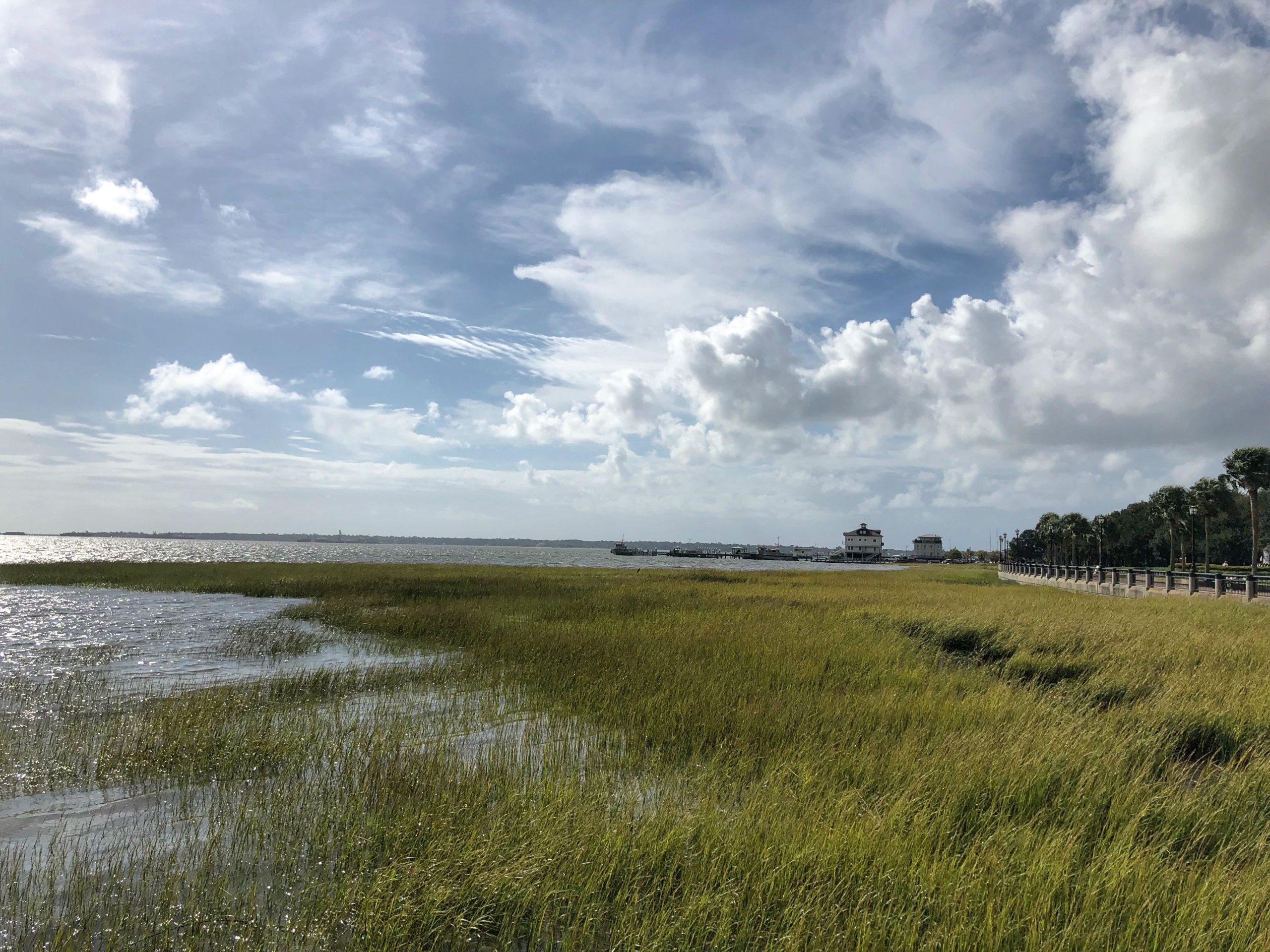 From Dallas to Charleston PaleOMG