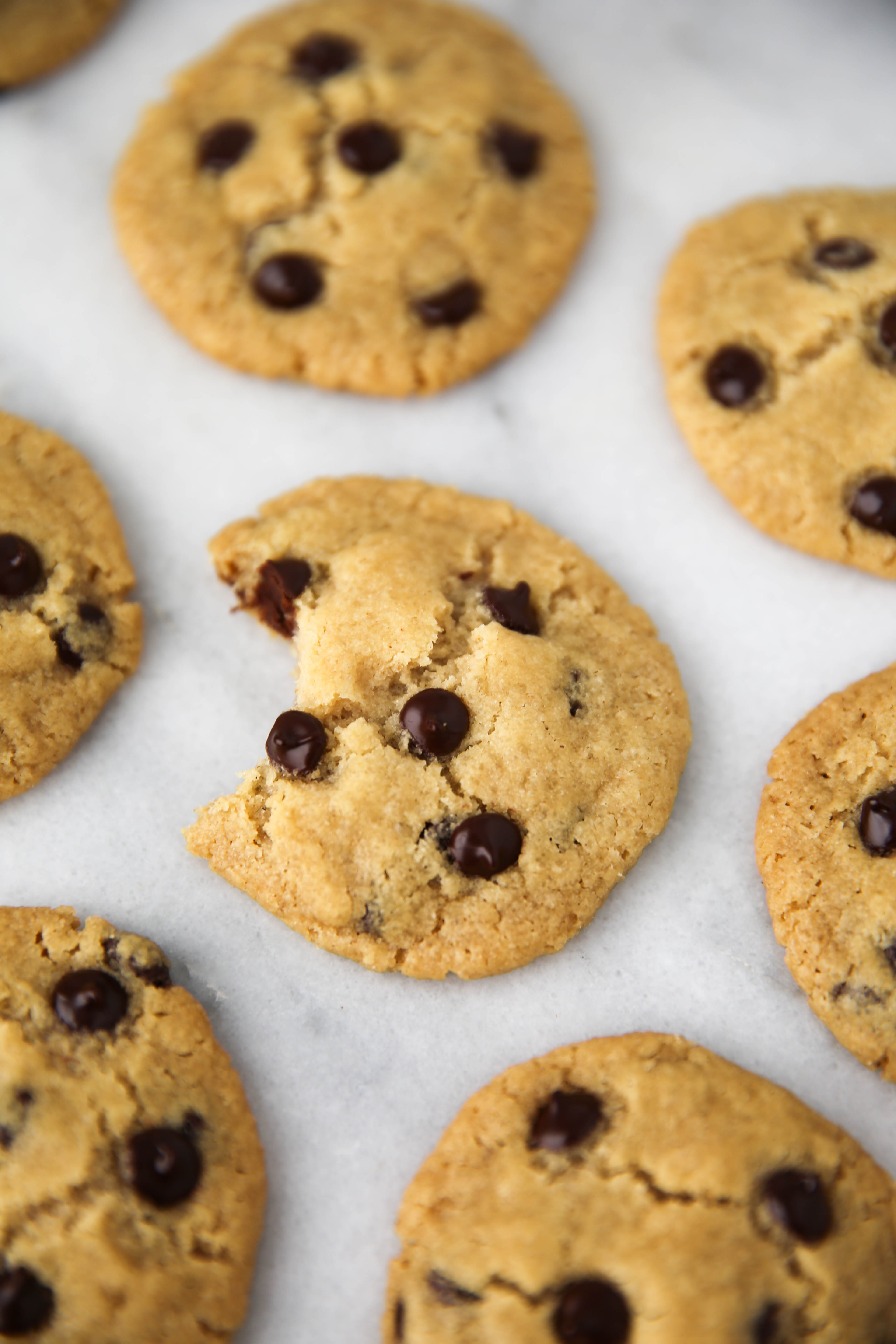 Egg and Nut Free Chocolate Chip Cookies PaleOMG