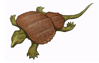 恐竜おもちゃの博物館 展示室 102号室-08 川崎悟司イラスト集・プセフォデルマ