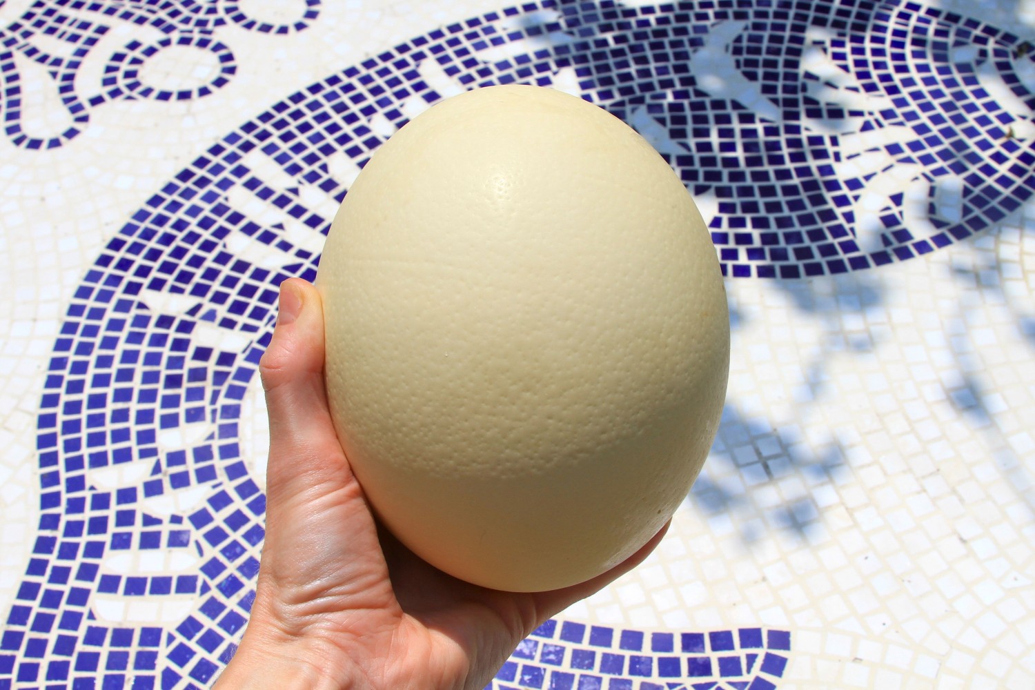 Paleo Ostrich Egg Brunch Paleo Spirit