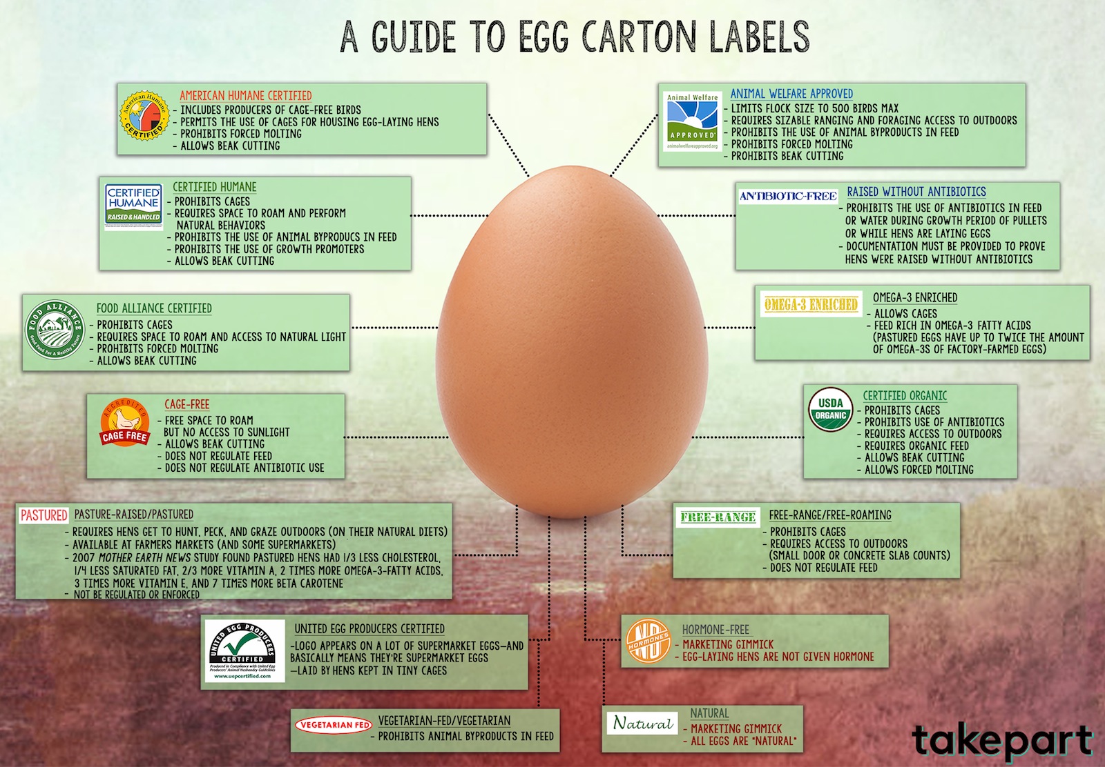 Guide to buying eggs Paleotool's log