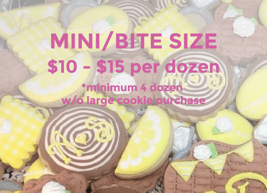 Palestine Painted Cookie