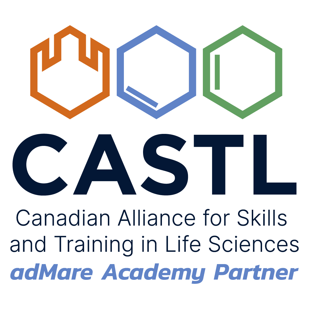 Elevate Program • Palette Skills