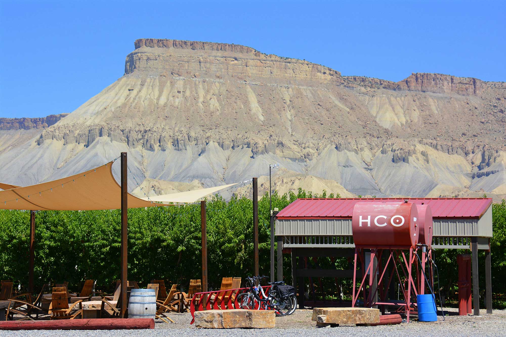 About Palisade Trolley